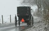 Buggy travels nearby County Road 114.