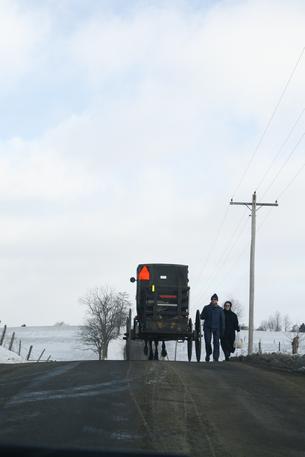 Amish buggy near Indiantree Farm