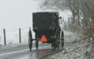 Buggy on CR 114