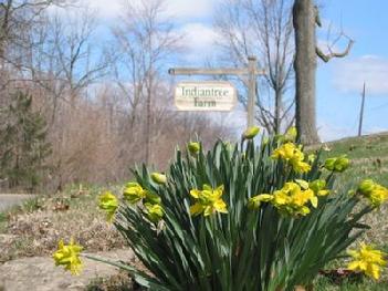 Indiantree Farm sign