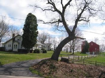 Indiantree Farm entrance