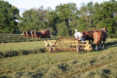 Amish-country farming