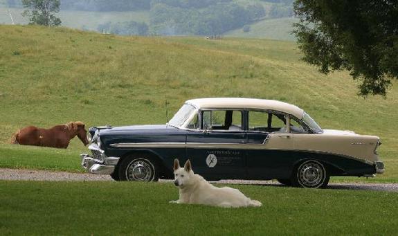 '56 Chevy Bel Air at Indiantree Farm in Ohio's Amish country.